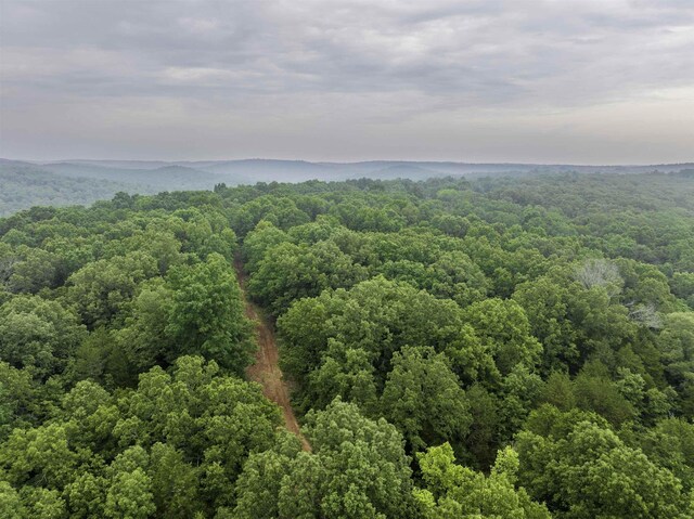 000 Fawn Ridge Ln, Williford, AR 72482
