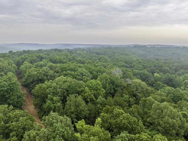 000 Fawn Ridge Ln, Williford, AR 72482