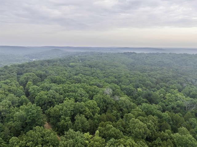 000 Fawn Ridge Ln, Williford, AR 72482