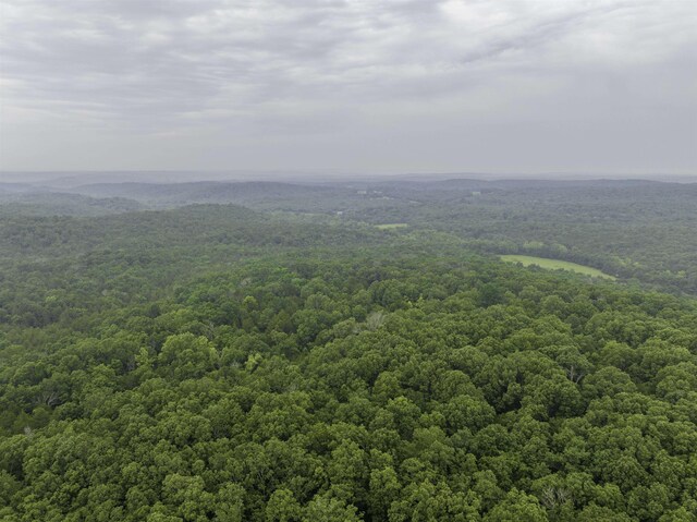 000 Fawn Ridge Ln, Williford, AR 72482