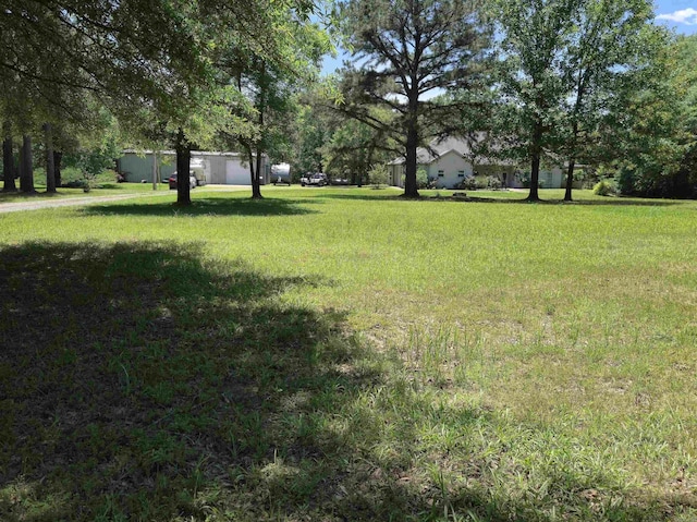 343 Boulder Rd, Royal, AR 71968 - view of yard