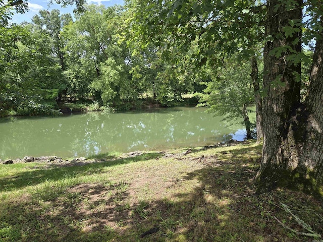 343 Boulder Rd, Royal, AR 71968 - water view featuring a heavily wooded area