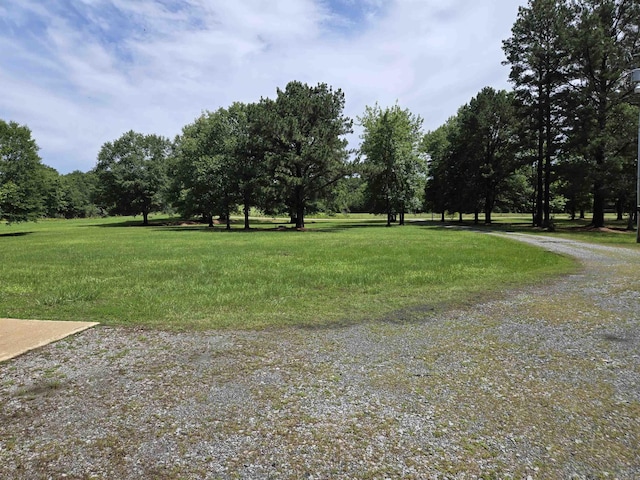 343 Boulder Rd, Royal, AR 71968 - view of yard