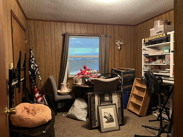 1702 E Spring Dr, Horseshoe Bend, AR 72512 - office area with carpet flooring, wood walls, and a textured ceiling