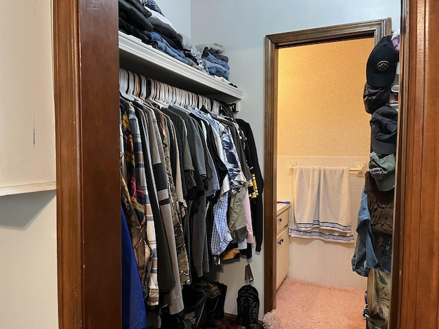 1702 E Spring Dr, Horseshoe Bend, AR 72512 - view of walk in closet