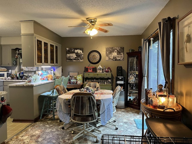 1702 E Spring Dr, Horseshoe Bend, AR 72512 - dining space with a ceiling fan and a textured ceiling