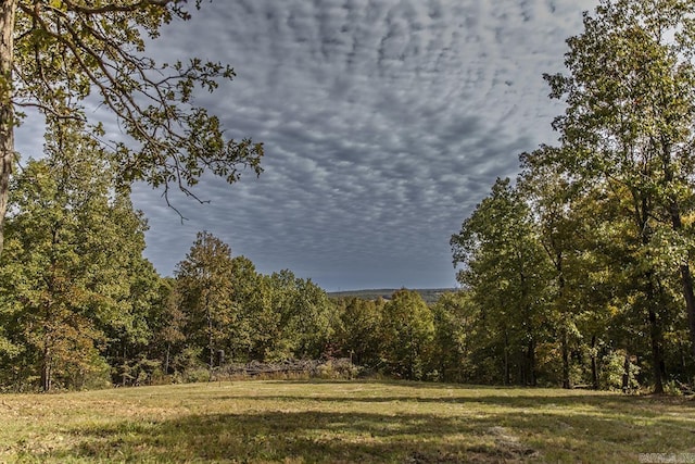 38 Oak Ridge Dr, Gepp, AR 72538 - exterior space with a heavily wooded area