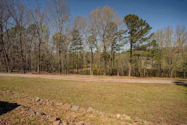 325 Wesley Chapel Rd, Quitman, AR 72131 - view of grassy yard with a view of trees