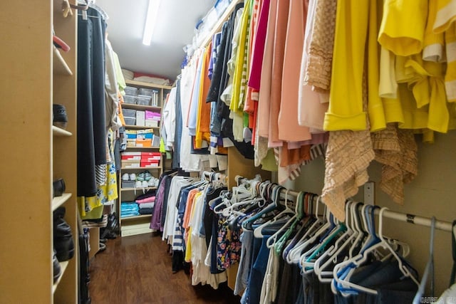 111 Country Oaks Dr, Malvern, AR 72104 - walk in closet with wood finished floors