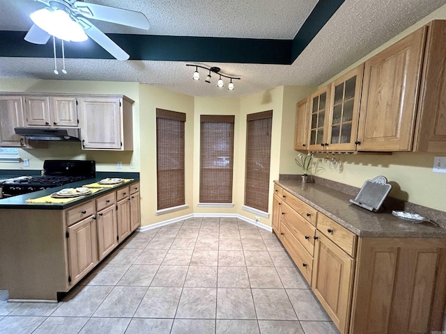 1828 Dove Dr, Benton, AR 72015 - kitchen with a textured ceiling, gas stove, light tile patterned floors, under cabinet range hood, and a ceiling fan