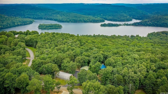 220 Brown Rd, Greers Ferry, AR 72067 - bird's eye view of a forest and a large body of water