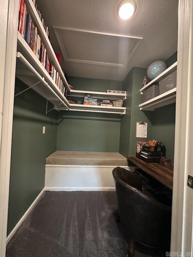 9 Whispering Dr, Alexander, AR 72002 - walk in closet with attic access and carpet