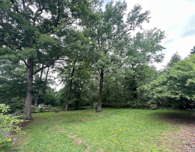300 Ethel Dr, Bryant, AR 72022