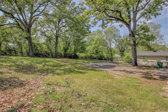 1320 Abigail St, Little Rock, AR 72204 - view of yard