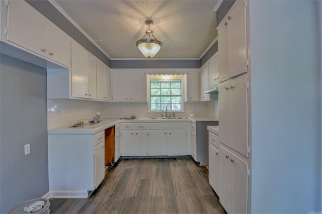 1320 Abigail St, Little Rock, AR 72204 - kitchen featuring dark wood-style flooring, a sink, white cabinetry, a textured ceiling, and light countertops