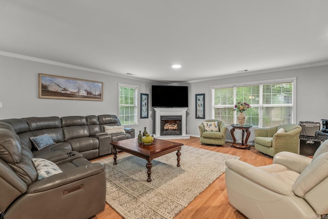 15621 Mail Route Rd, Little Rock, AR 72206 - living area featuring ornamental molding, light wood-style flooring, and a fireplace with raised hearth