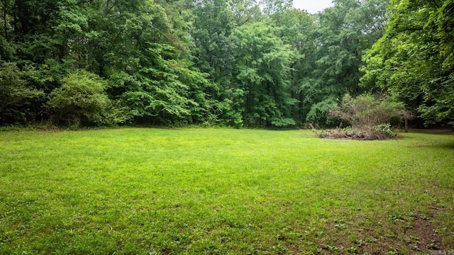 15621 Mail Route Rd, Little Rock, AR 72206 - view of green lawn with a forest view