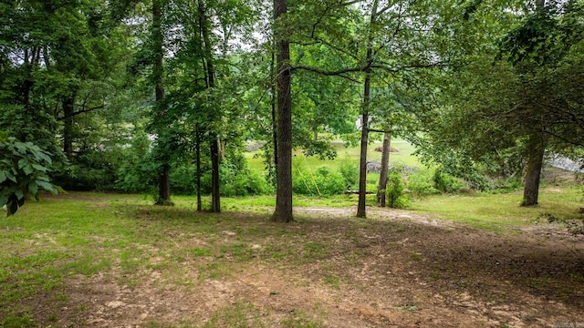 15621 Mail Route Rd, Little Rock, AR 72206 - view of local wilderness