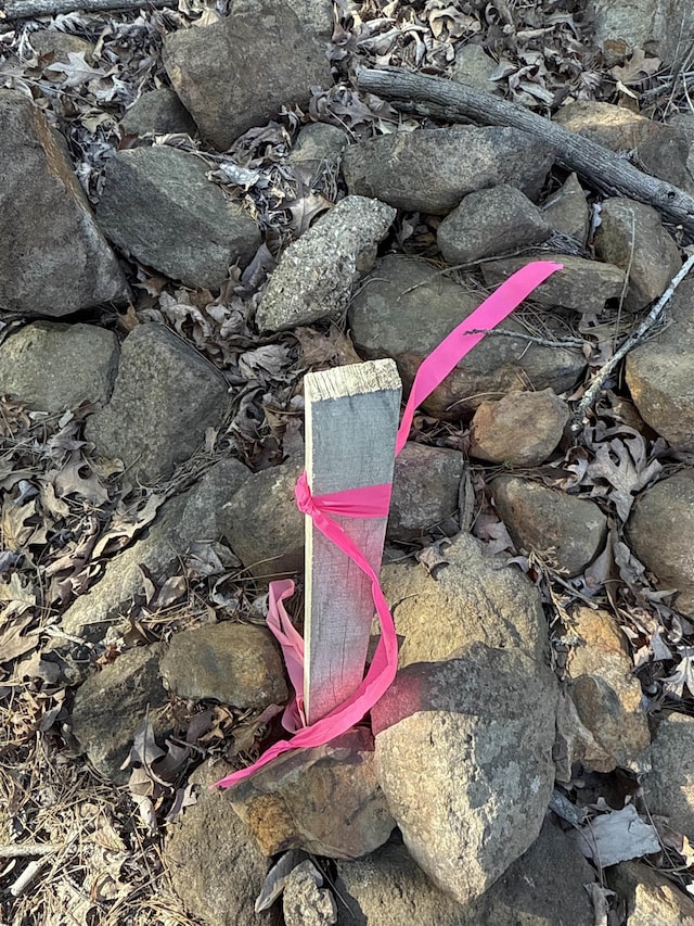 Listing photo - caption unavailable