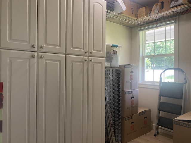 1803 Fairwater Cir, Horseshoe Bend, AR 72512 - spacious closet with light wood-type flooring
