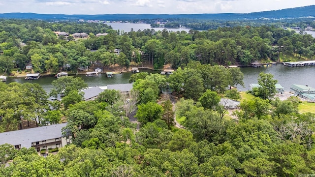aerial view of a nearby body of water