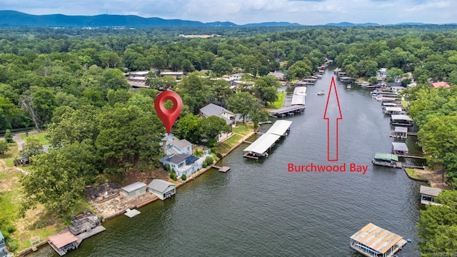 bird's eye view of a water and mountain view and a heavily wooded area