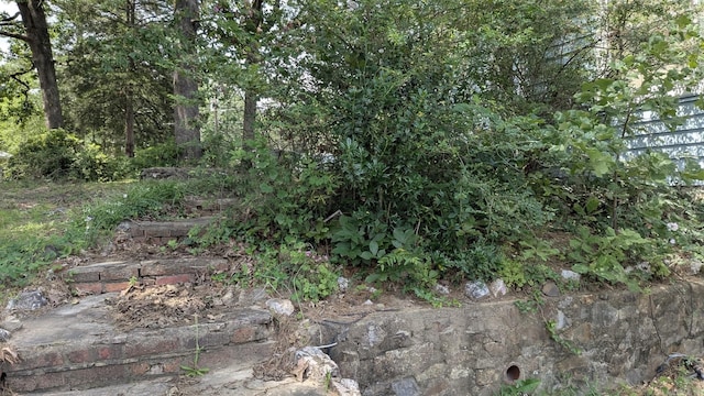 view of undeveloped land
