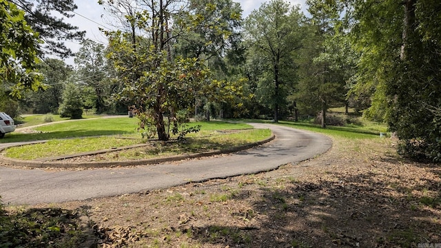 view of road with curbs