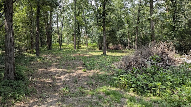 view of tree filled area