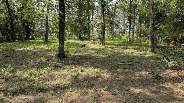view of tree filled area