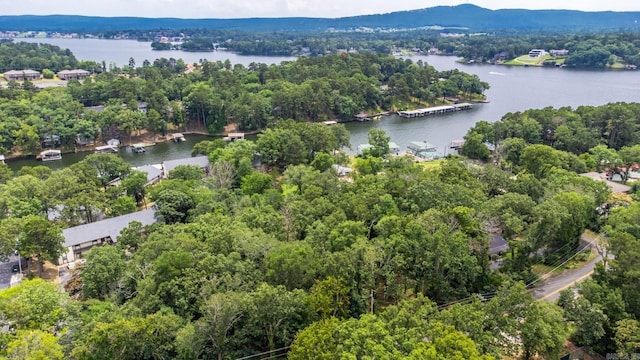 bird's eye view of a large body of water