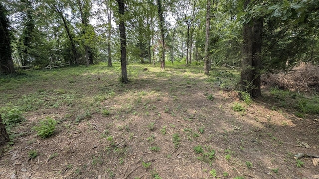 view of tree filled area