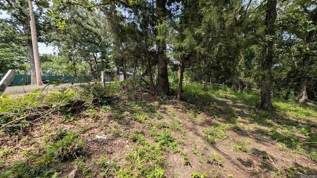 view of local wilderness