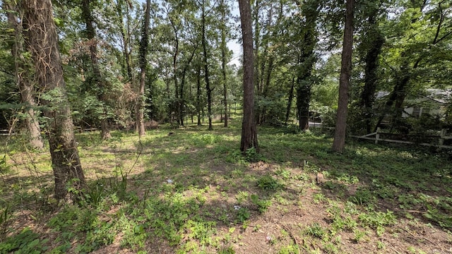 view of local wilderness