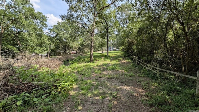 view of local wilderness