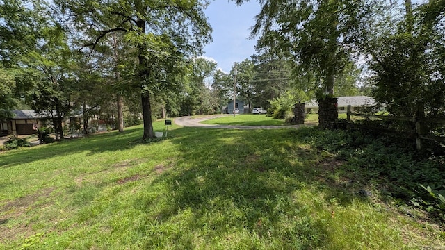 view of green lawn