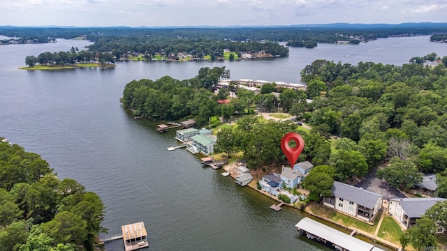 bird's eye view of a large body of water