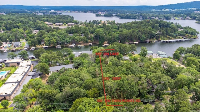 bird's eye view of a nearby body of water