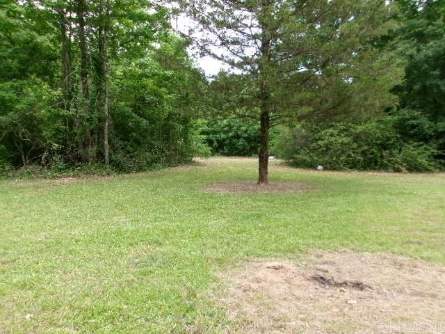 112 Huckleberry Ln, Monticello, AR 71655 - view of grassy yard featuring a forest view