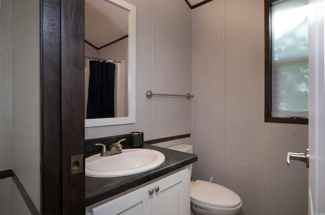 193 Sycamore, Sheridan, AR 72150 - bathroom with toilet, vanity, and curtained shower