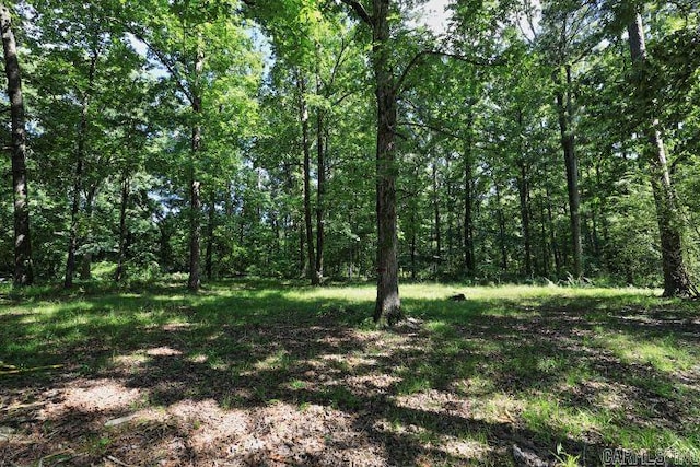 193 Sycamore, Sheridan, AR 72150 - view of wooded area