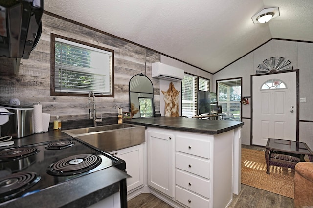 193 Sycamore, Sheridan, AR 72150 - kitchen with a wall mounted AC, dark countertops, wood walls, a sink, and dark wood-style floors