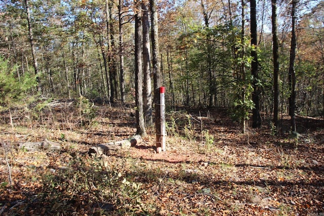 000-13222-000 Dabney Rd, Jerusalem, AR 72080