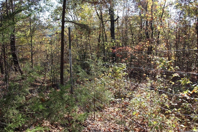 000-13222-000 Dabney Rd, Jerusalem, AR 72080