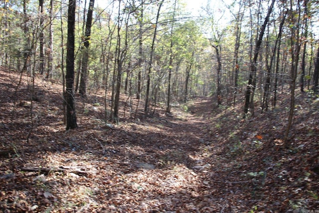 000-13222-000 Dabney Rd, Jerusalem, AR 72080