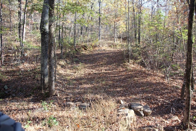 000-13222-000 Dabney Rd, Jerusalem, AR 72080