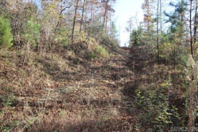 000-13222-000 Dabney Rd, Jerusalem, AR 72080