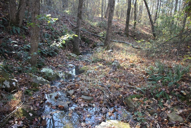 000-13222-000 Dabney Rd, Jerusalem, AR 72080