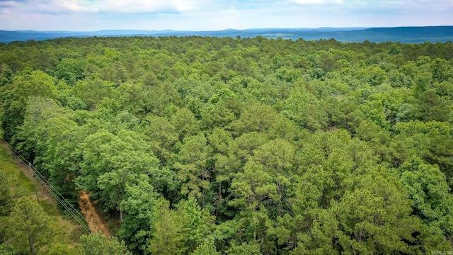 000 Mathis, Leslie, AR 72645