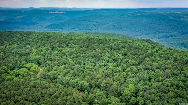 000 Mathis, Leslie, AR 72645